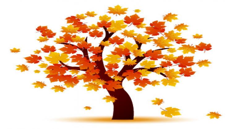 Fall Season Looks Especially Explosive for FCC