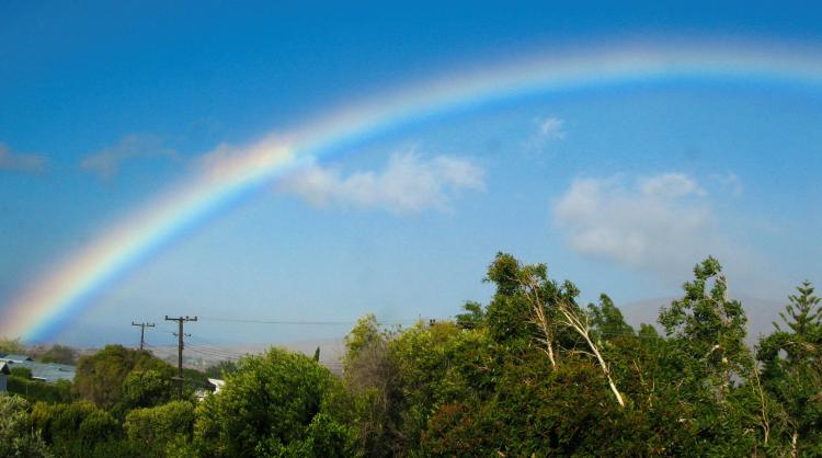 Hawaiian Telcom Thrives Despite Connect America Fund Shortcomings